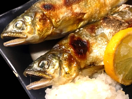 地元の食材を使った 季節の料理が自慢です